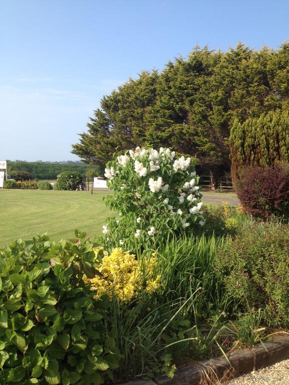Abrae House Guest House Rosslare Harbour Exterior photo